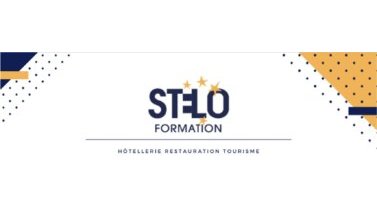 STELO FORMATION logo